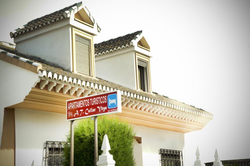 Apartamentos Turisticos Cullar Vega エクステリア 写真
